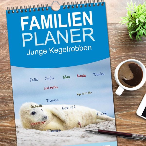 Produktbild: Familienplaner 2026 - Junge Kegelrobben mit 5 Spalten (Wandkalender, 21 x 45 cm) CALVENDO