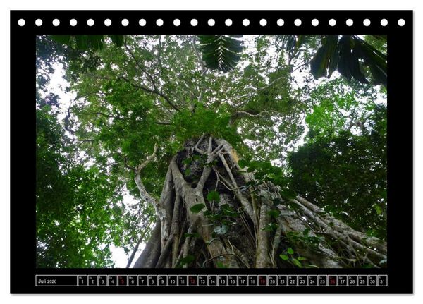 Produktbild: Venezuela & Caracas (Tischkalender 2026 DIN A5 quer), CALVENDO Monatskalender