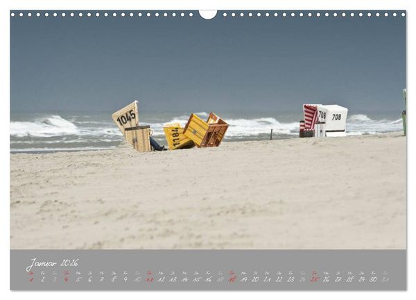 Produktbild: Strandk&ouml;rbe &ndash; bunte Vielfalt an der Nordsee (Wandkalender 2026 DIN A3 quer), CALVENDO Monatskalender