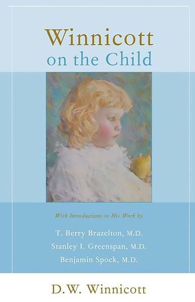 Produktbild: Winnicott on the Child