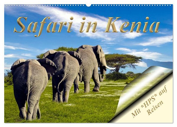 Safari in Kenia (Wandkalender 2026 DIN A2 quer), CALVENDO Monatskalender