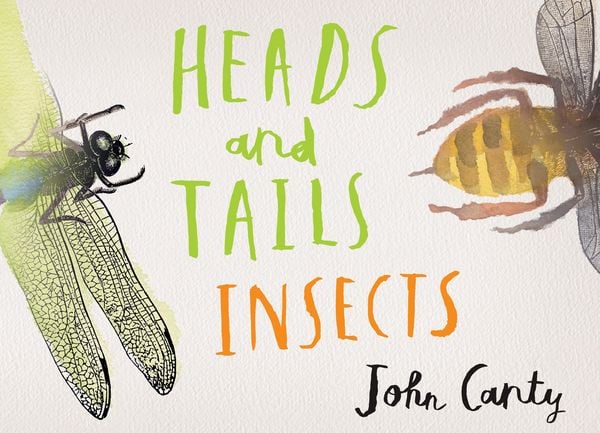 Produktbild: Heads and Tails: Insects