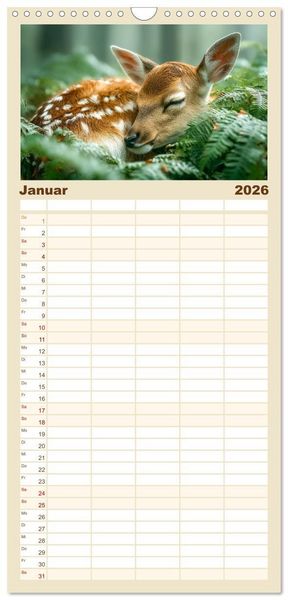 Produktbild: Familienplaner 2026 - GUTE NACHT - Schlafende Tiere, traumhaft sch&ouml;n mit 5 Spalten (Wandkalender, 21 x 45 cm) CALVENDO