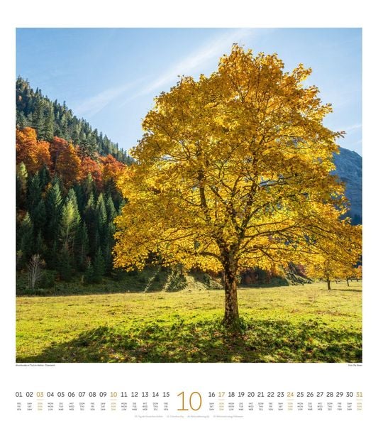 Produktbild: Lichtblicke Kalender 2027