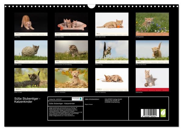 Produktbild: S&uuml;&szlig;e Stubentiger - Katzenkinder (Wandkalender 2027 DIN A3 quer), CALVENDO Monatskalender