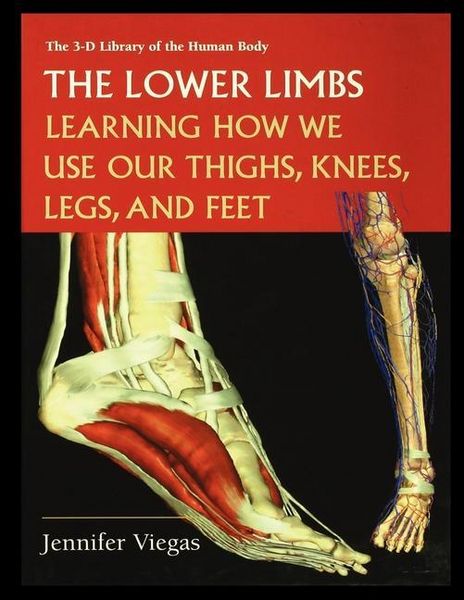 Produktbild: The Lower Limbs: Learning How We Use Our Thighs, Knees, Legs, and Feet