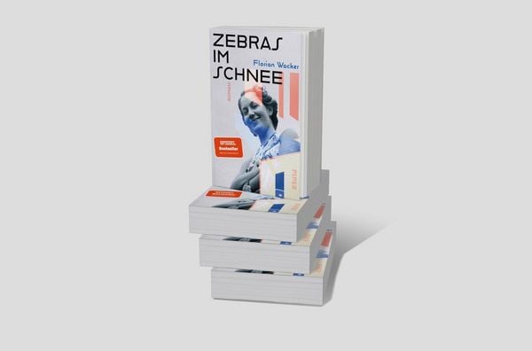 Produktbild: Zebras im Schnee
