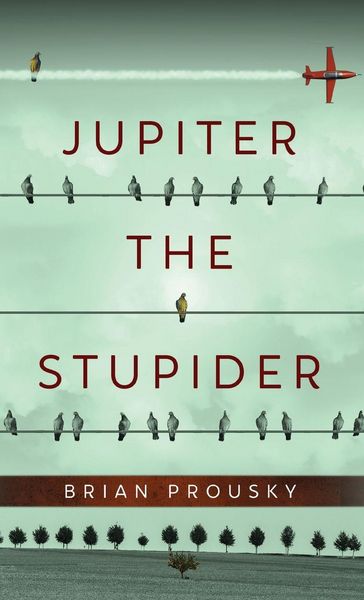 Produktbild: Jupiter the Stupider
