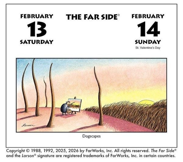 Produktbild: The Far Side 2027