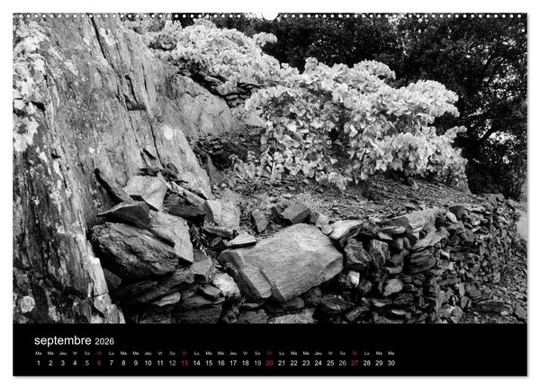 Produktbild: VIGNES DU SUD terroirs d'AOC (Calendrier mural 2026 DIN A2 vertical) calendrier de bureau