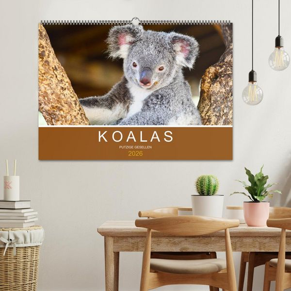 Produktbild: Koalas, putzige Gesellen (Wandkalender 2026 DIN A2 quer), CALVENDO Monatskalender
