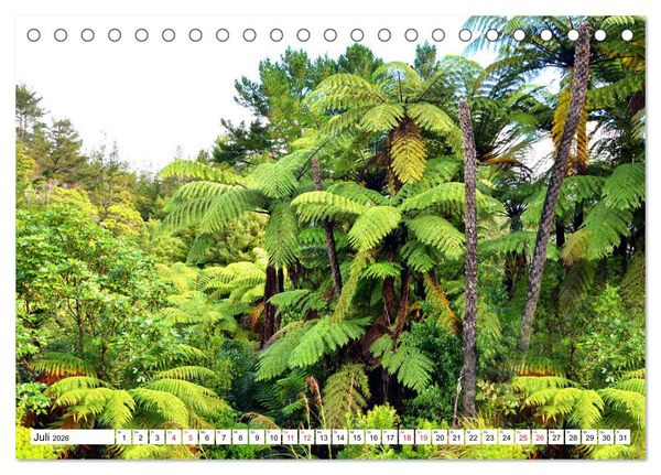Produktbild: Neuseeland Nordinsel - faszinierende Orte am anderen Ende der Welt (Tischkalender 2026 DIN A5 quer), CALVENDO Monatskalender