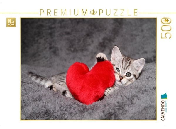 CALVENDO Puzzle Britisch Kurzhaar Kätzchen | 500 Teile Lege-Größe 48 × 36 cm Foto-Puzzle für Erwachsene