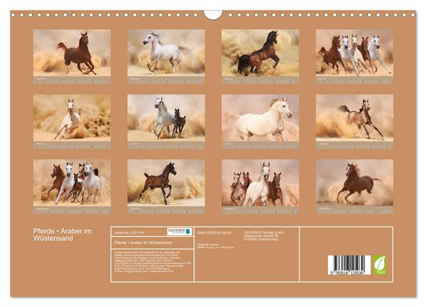 Produktbild: Pferde &bull; Araber im W&uuml;stensand (Wandkalender 2026 DIN A3 quer), CALVENDO Monatskalender