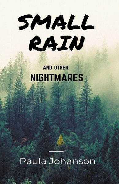 Produktbild: Small Rain and Other Nightmares