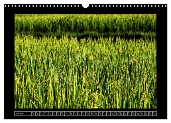 Produktbild: Bali - Details (Wandkalender 2026 DIN A3 quer), CALVENDO Monatskalender