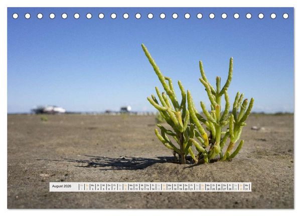 Produktbild: St. Peter-Ording (Tischkalender 2026 DIN A5 quer), CALVENDO Monatskalender