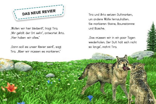 Produktbild: Tira, die junge Wölfin