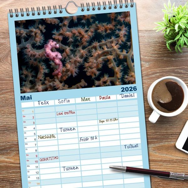 Produktbild: Familienplaner 2026 - Hippocampus oder einfach nur Seepferdchen mit 5 Spalten (Wandkalender, 21 x 45 cm) CALVENDO