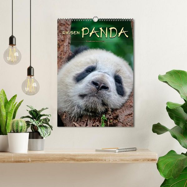 Produktbild: Riesenpanda (Wandkalender 2026 DIN A3 hoch), CALVENDO Monatskalender