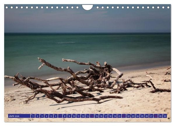 Produktbild: Weststrand Dar&szlig; (Wandkalender 2026 DIN A4 quer), CALVENDO Monatskalender