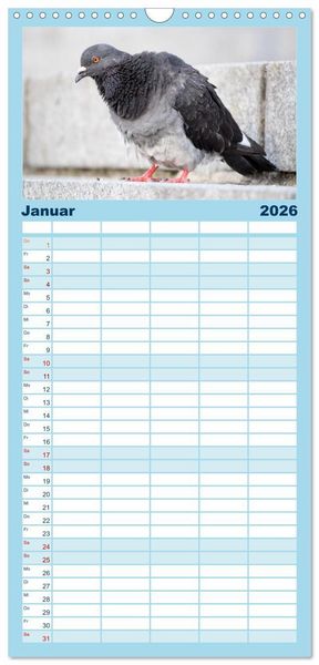 Produktbild: Familienplaner 2026 - Geliebte Tauben mit 5 Spalten (Wandkalender, 21 x 45 cm) CALVENDO