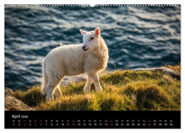 Produktbild: Schottland - Die wundervolle Isle of Skye (hochwertiger Premium Wandkalender 2026 DIN A2 quer), Kunstdruck in Hochglanz