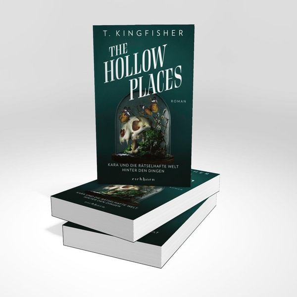 Produktbild: The Hollow Places