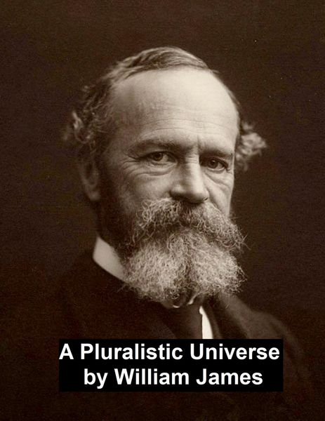 Produktbild: A Pluralistic Universe