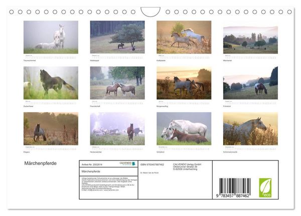 Produktbild: M&auml;rchenpferde (Wandkalender 2026 DIN A4 quer), CALVENDO Monatskalender