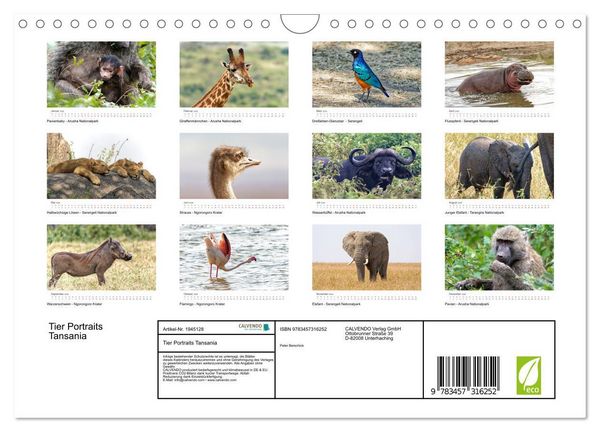 Produktbild: Tier Portraits Tansania (Wandkalender 2026 DIN A4 quer), CALVENDO Monatskalender