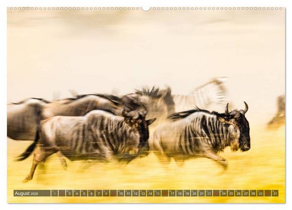 Produktbild: Ostafrika (hochwertiger Premium Wandkalender 2026 DIN A2 quer), Kunstdruck in Hochglanz