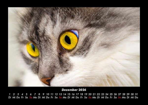 Produktbild: Haustierkalender 2026 Fotokalender DIN A3