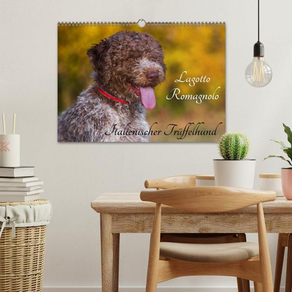 Produktbild: Lagotto Romagnolo - Italienischer Tr&uuml;ffelhund (Wandkalender 2026 DIN A3 quer), CALVENDO Monatskalender