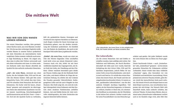 Schamanisches Urwissen unserer europäischen Ahnen
