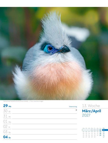 Produktbild: V&ouml;gel Wochenplaner Kalender 2027