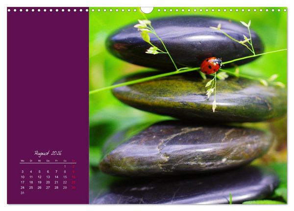 Produktbild: Momente des Gl&uuml;cks (Wandkalender 2026 DIN A3 quer), CALVENDO Monatskalender