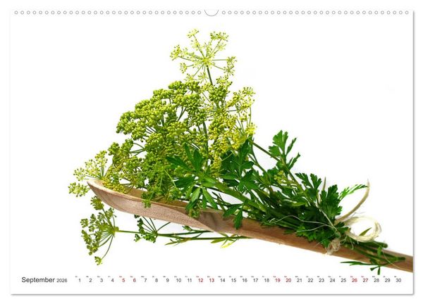 Produktbild: Gem&uuml;se, so gesund (hochwertiger Premium Wandkalender 2026 DIN A2 quer), Kunstdruck in Hochglanz