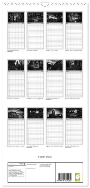 Produktbild: Familienplaner 2026 - Gothic Fantasy mit 5 Spalten (Wandkalender, 21 x 45 cm) CALVENDO