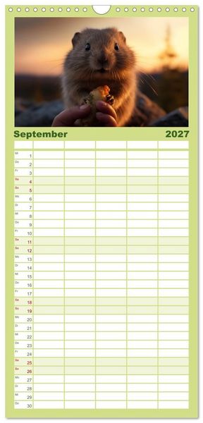 Produktbild: Familienplaner 2027 - Nach Art der Lemminge mit 5 Spalten (Wandkalender, 21 x 45 cm) CALVENDO