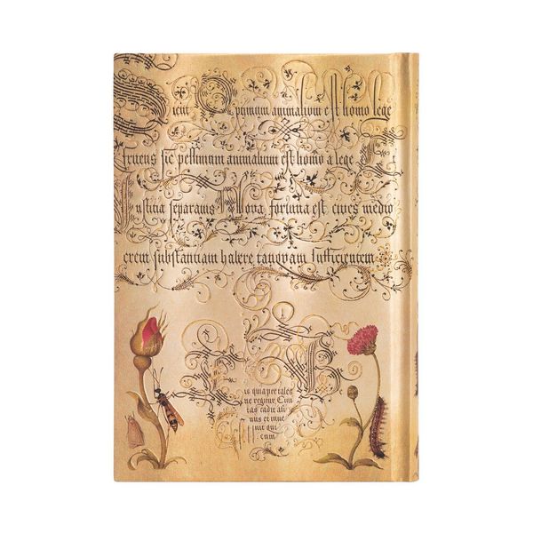 Produktbild: Hardcover Notizbuch Fl&auml;mische Rose, Midi, Unliniert