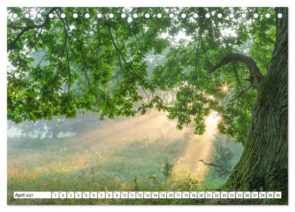 Produktbild: Mystische Momente in Mecklenburg-Vorpommern (Tischkalender 2027 DIN A5 quer), CALVENDO Monatskalender