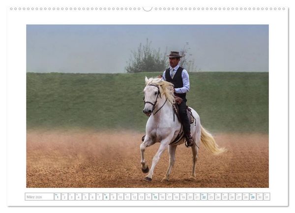 Produktbild: Wei&szlig;e Pferde der Camargue in Bayern (hochwertiger Premium Wandkalender 2026 DIN A2 quer), Kunstdruck in Hochglanz