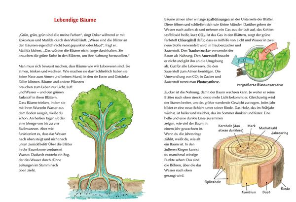 Produktbild: Der kleine Drache Kokosnuss - Mein erstes Wald-Buch
