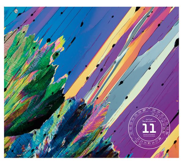 Produktbild: The Art of Science Kalender 2027 | Faszinierend-irisierende Mikroskopkunst