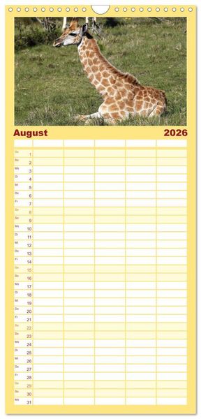 Produktbild: Familienplaner 2026 - Wildes Kinderzimmer - Tierkinder in Afrika mit 5 Spalten (Wandkalender, 21 x 45 cm) CALVENDO