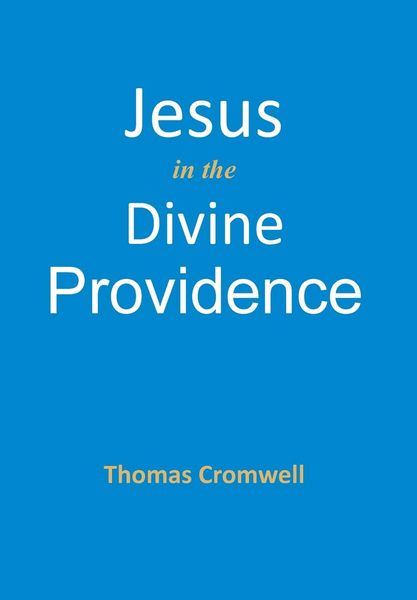 Produktbild: Jesus in the Divine Providence