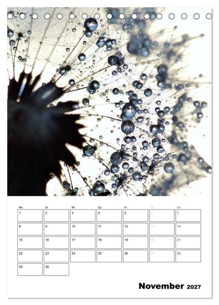 Produktbild: Pusteblumentraum - Dreams of Dandelion (Tischkalender 2027 DIN A5 hoch), CALVENDO Monatskalender