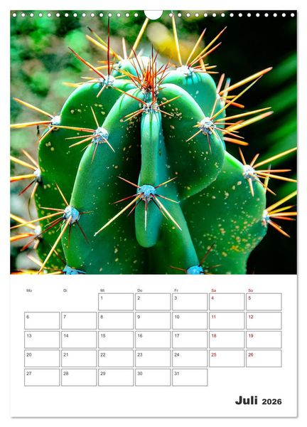 Produktbild: Dornige Sch&ouml;nheiten - Kakteen und Sukkulenten (Wandkalender 2026 DIN A3 hoch), CALVENDO Monatskalender