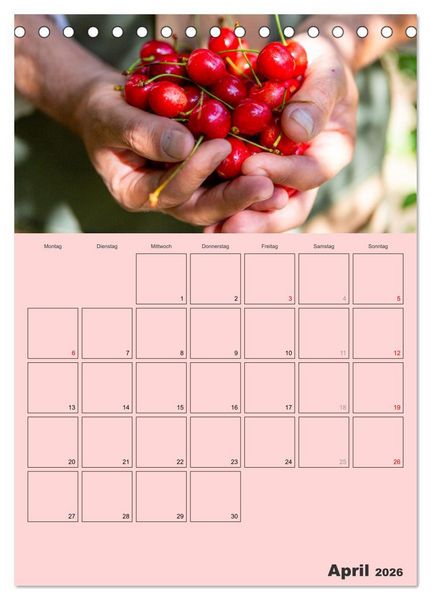 Produktbild: Obst Kalender - GESUND DURCH DAS JAHR (Tischkalender 2026 DIN A5 hoch), CALVENDO Monatskalender